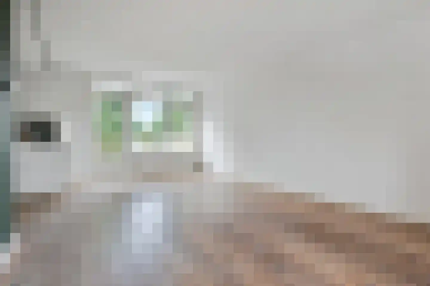 Marsmanhove 162 Zoetermeer thumbnail 10