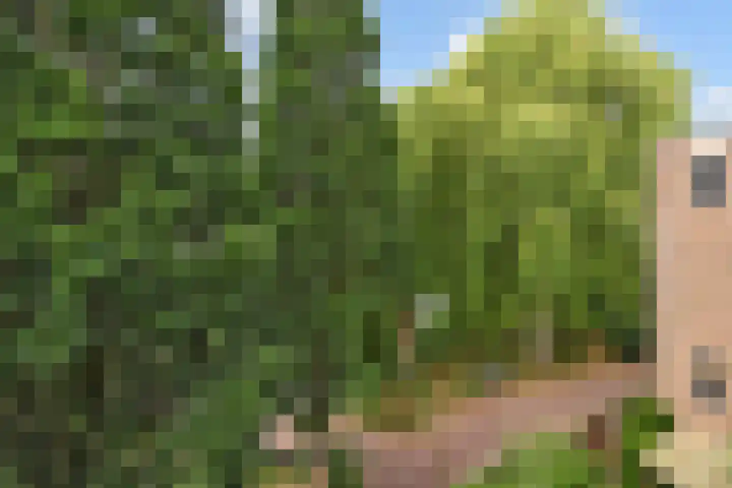 Marsmanhove 162 Zoetermeer thumbnail 13
