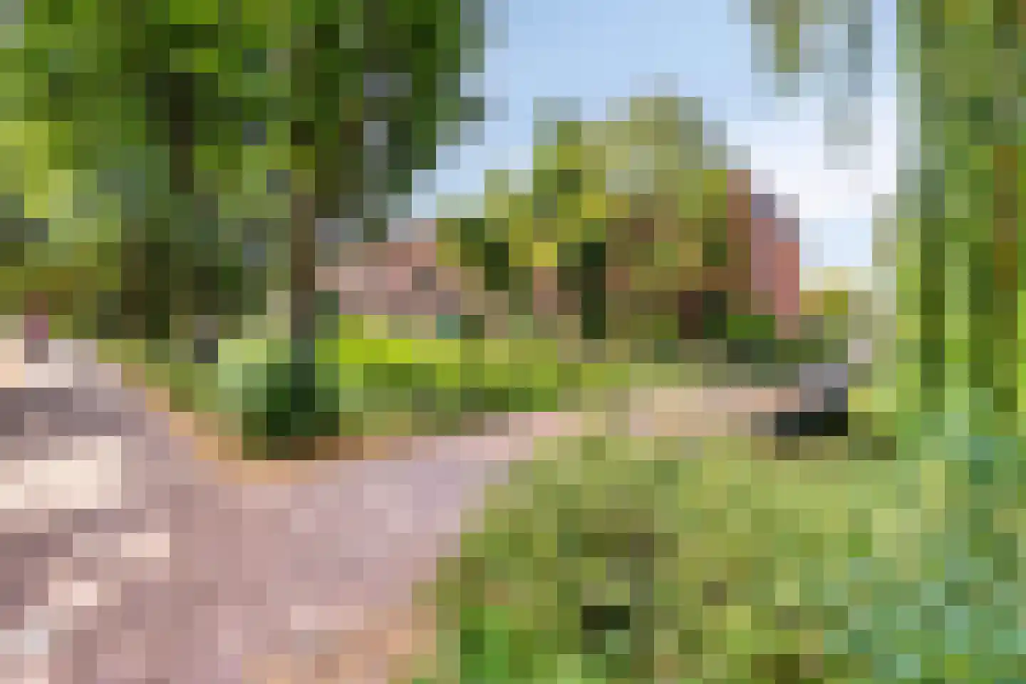 Marsmanhove 174 Zoetermeer thumbnail 22
