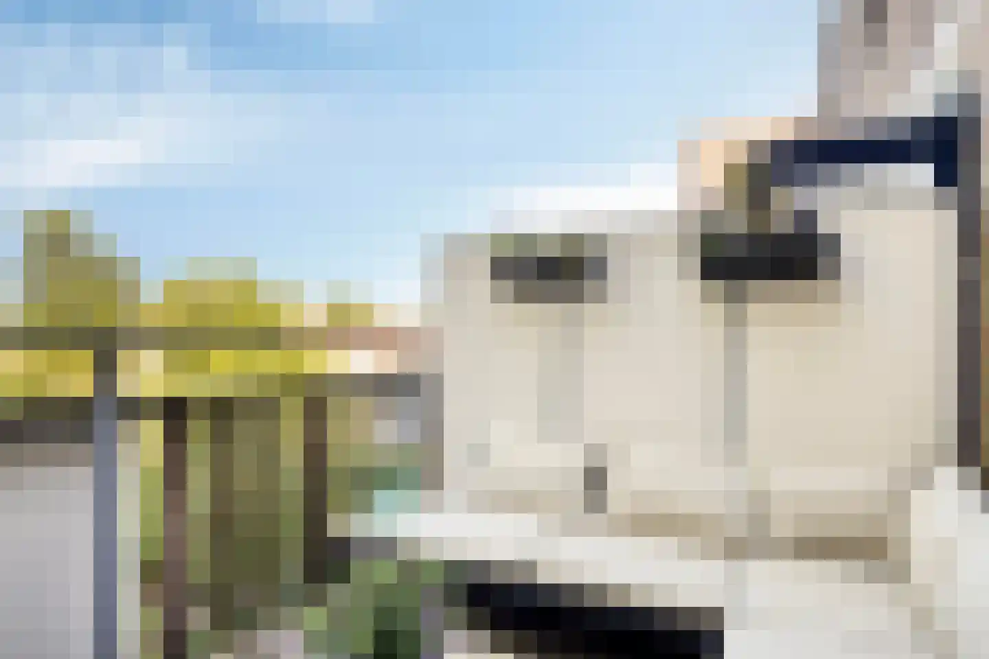 Marsmanhove 174 Zoetermeer thumbnail 9