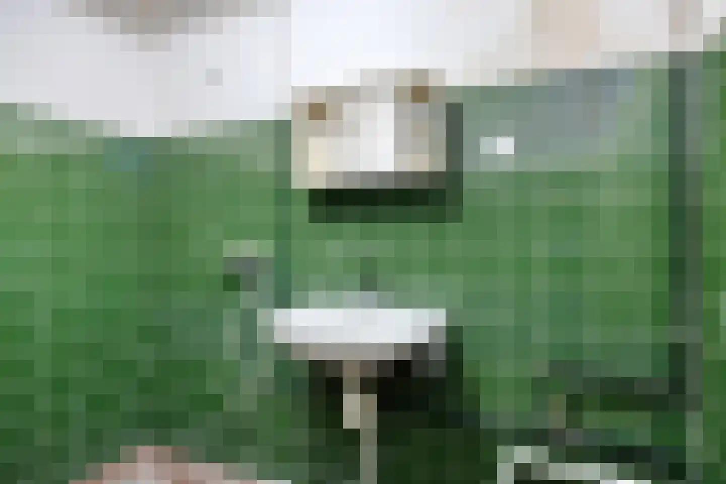 Marsmanhove 188 Zoetermeer thumbnail 22