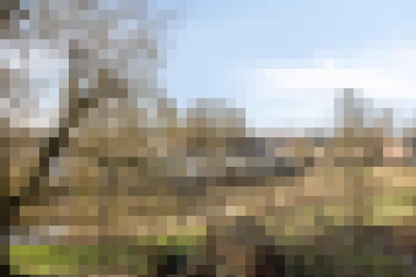 Marsmanhove 188 Zoetermeer thumbnail 29