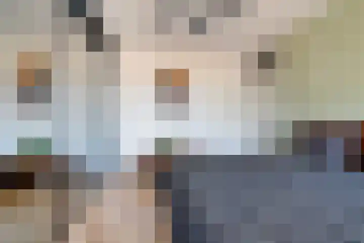 Marsmanhove 198 Zoetermeer thumbnail 20