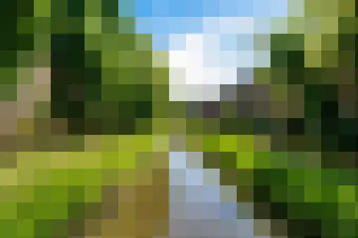 Marsmanhove 198 Zoetermeer thumbnail 26
