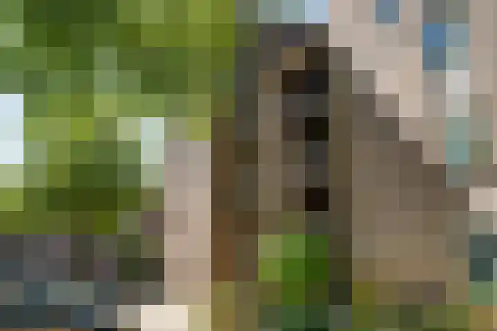 Marsmanhove 198 Zoetermeer thumbnail 6