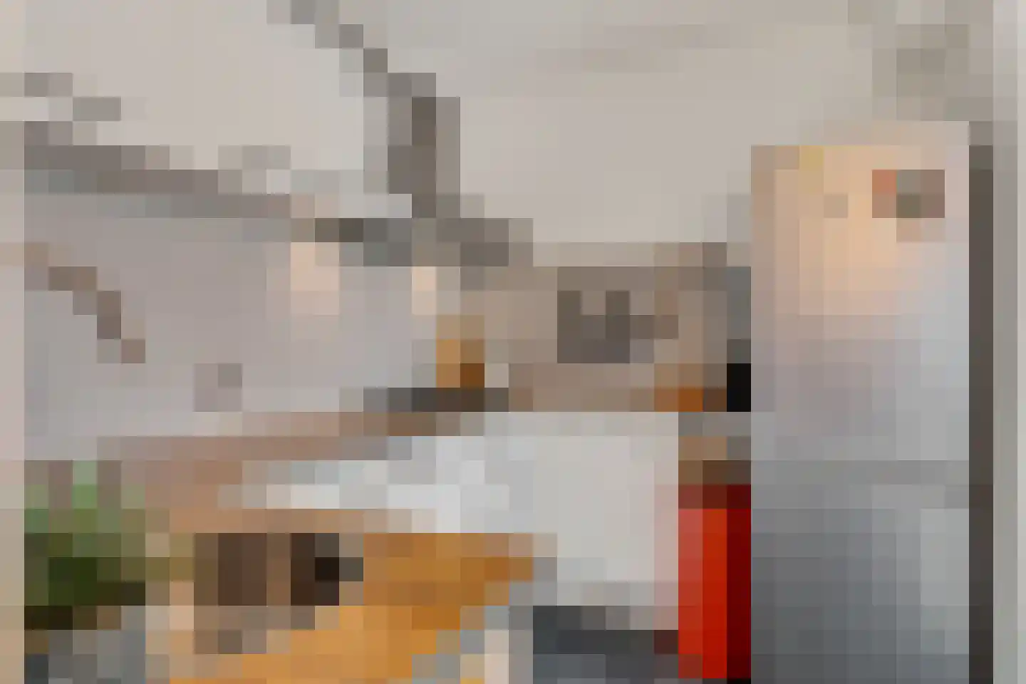 Marsmanhove 202 Zoetermeer thumbnail 23
