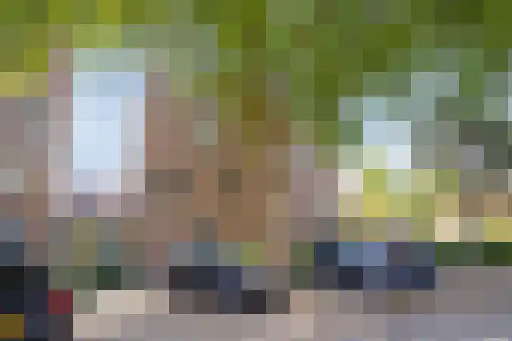 Marsmanhove 210 Zoetermeer thumbnail 14