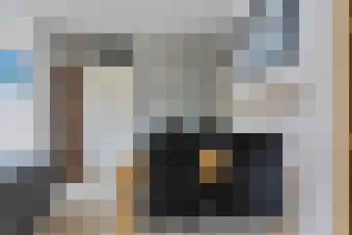 Marsmanhove 210 Zoetermeer thumbnail 4
