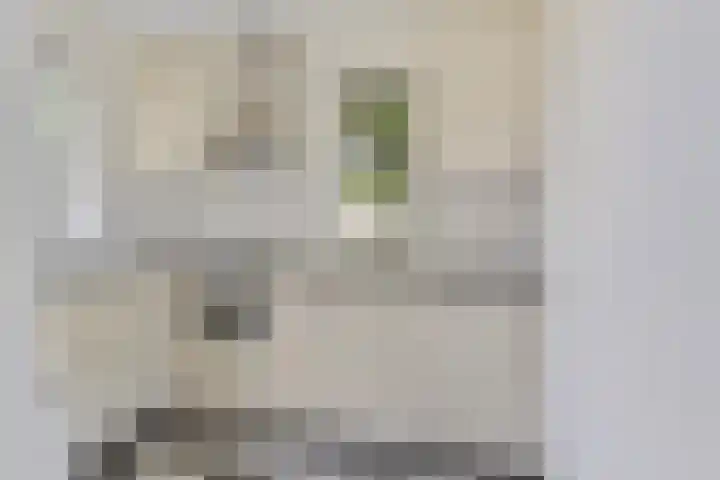 Marsmanhove 210 Zoetermeer thumbnail 5