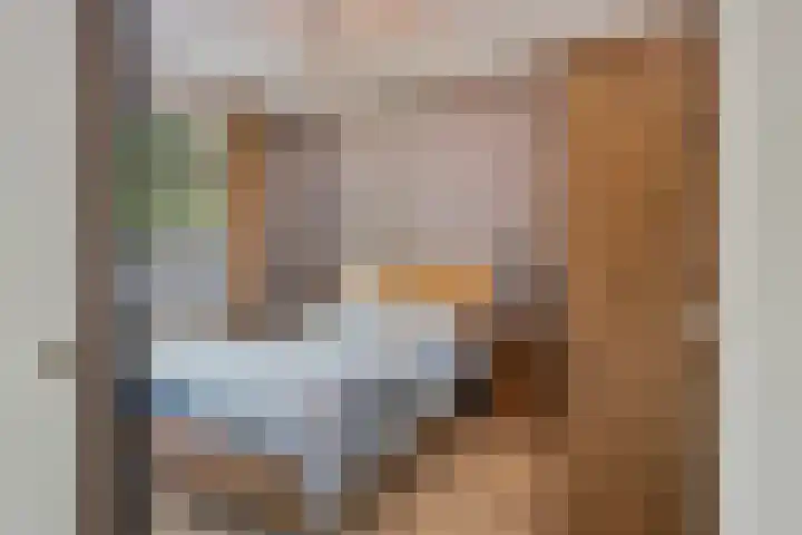 Marsmanhove 210 Zoetermeer thumbnail 8