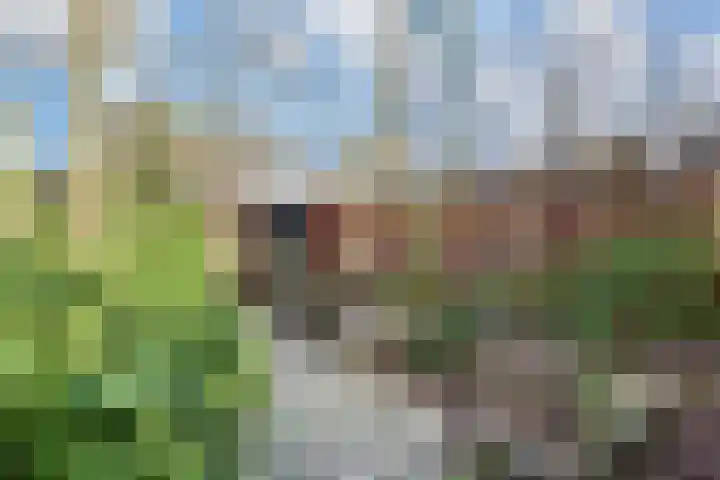 Marsmanhove 30 Zoetermeer thumbnail 20