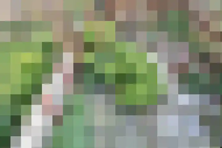 Marsmanhove 30 Zoetermeer thumbnail 37