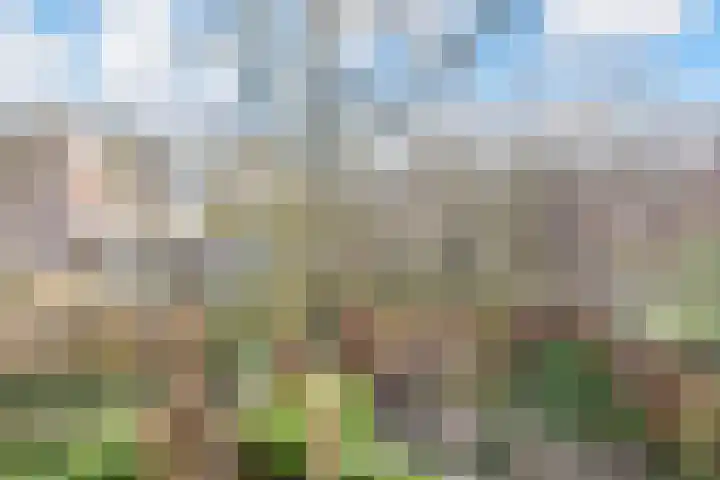 Marsmanhove 30 Zoetermeer thumbnail 39