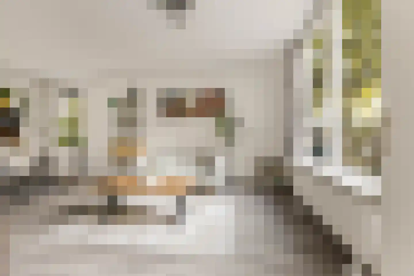 Marsmanhove 60 Zoetermeer thumbnail 17