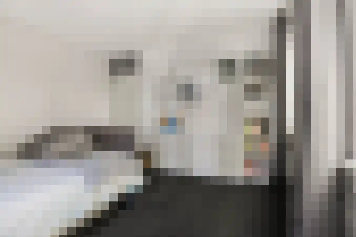 Marsmanhove 60 Zoetermeer thumbnail 31