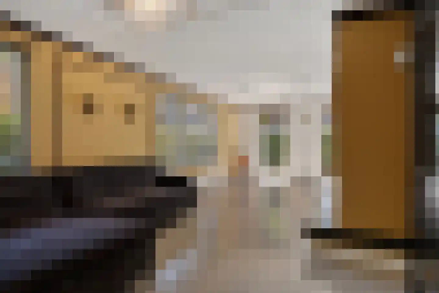 Marsmanhove 75 Zoetermeer thumbnail 19