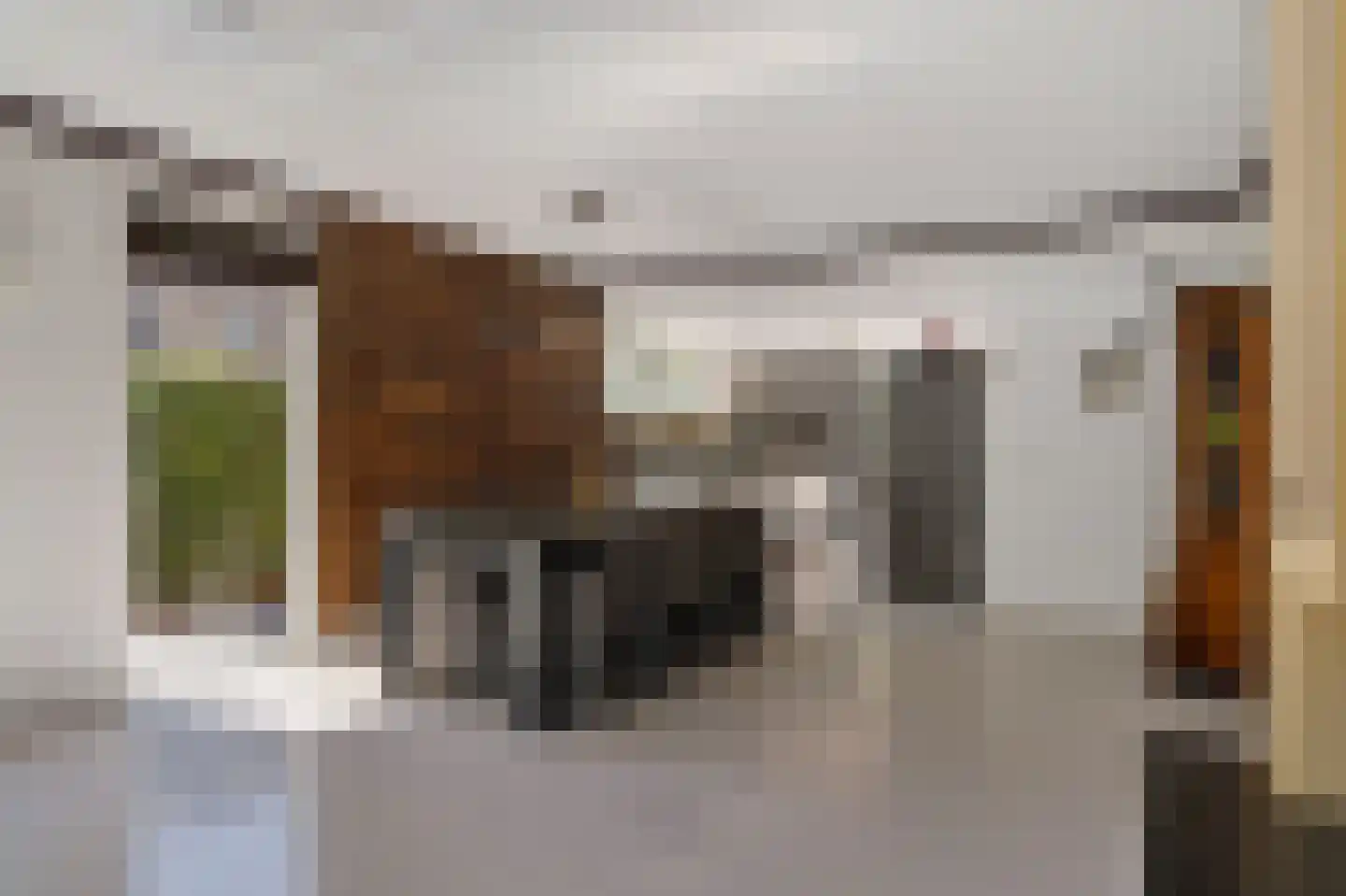 Marsmanhove 75 Zoetermeer thumbnail 20