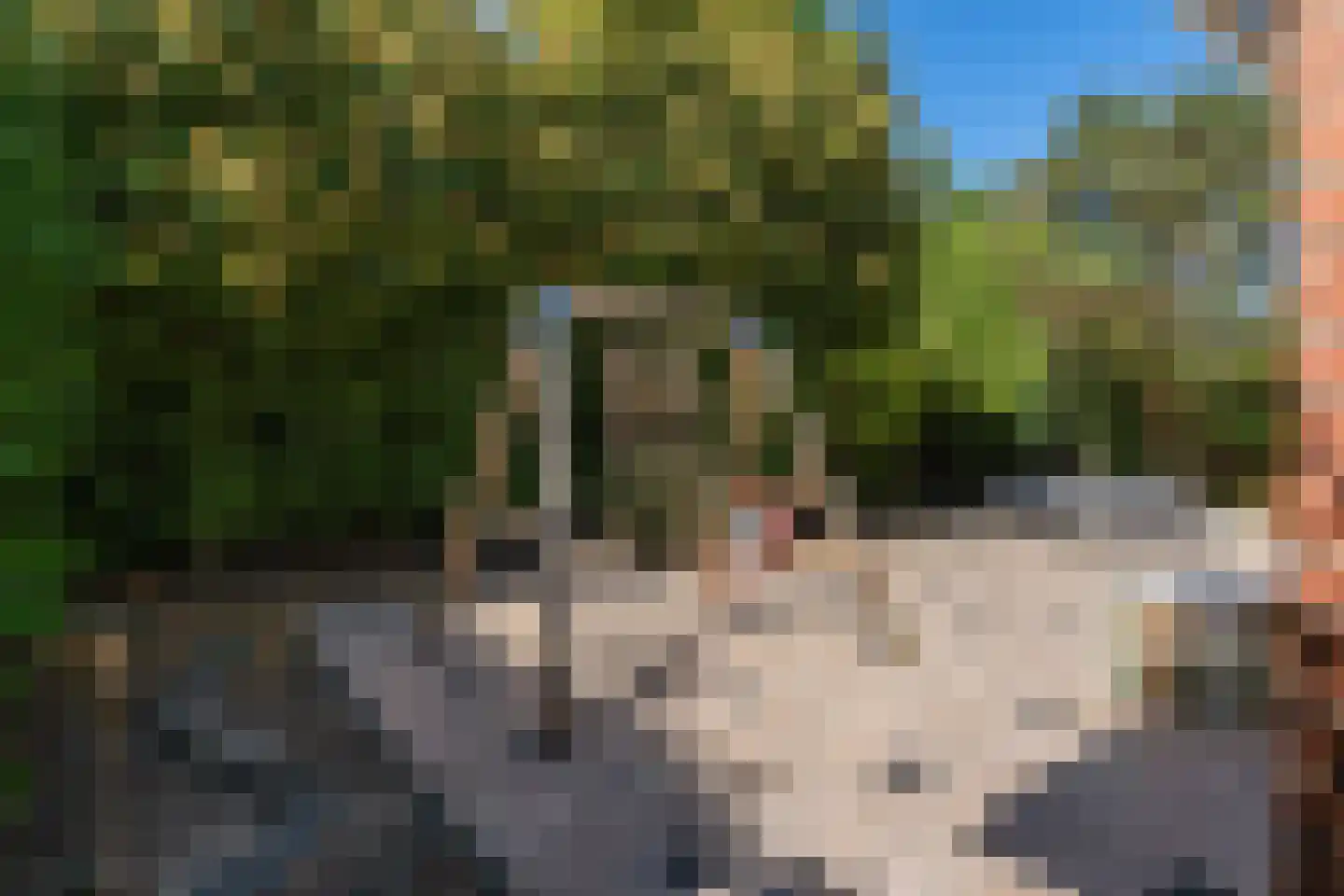 Marsmanhove 75 Zoetermeer thumbnail 24