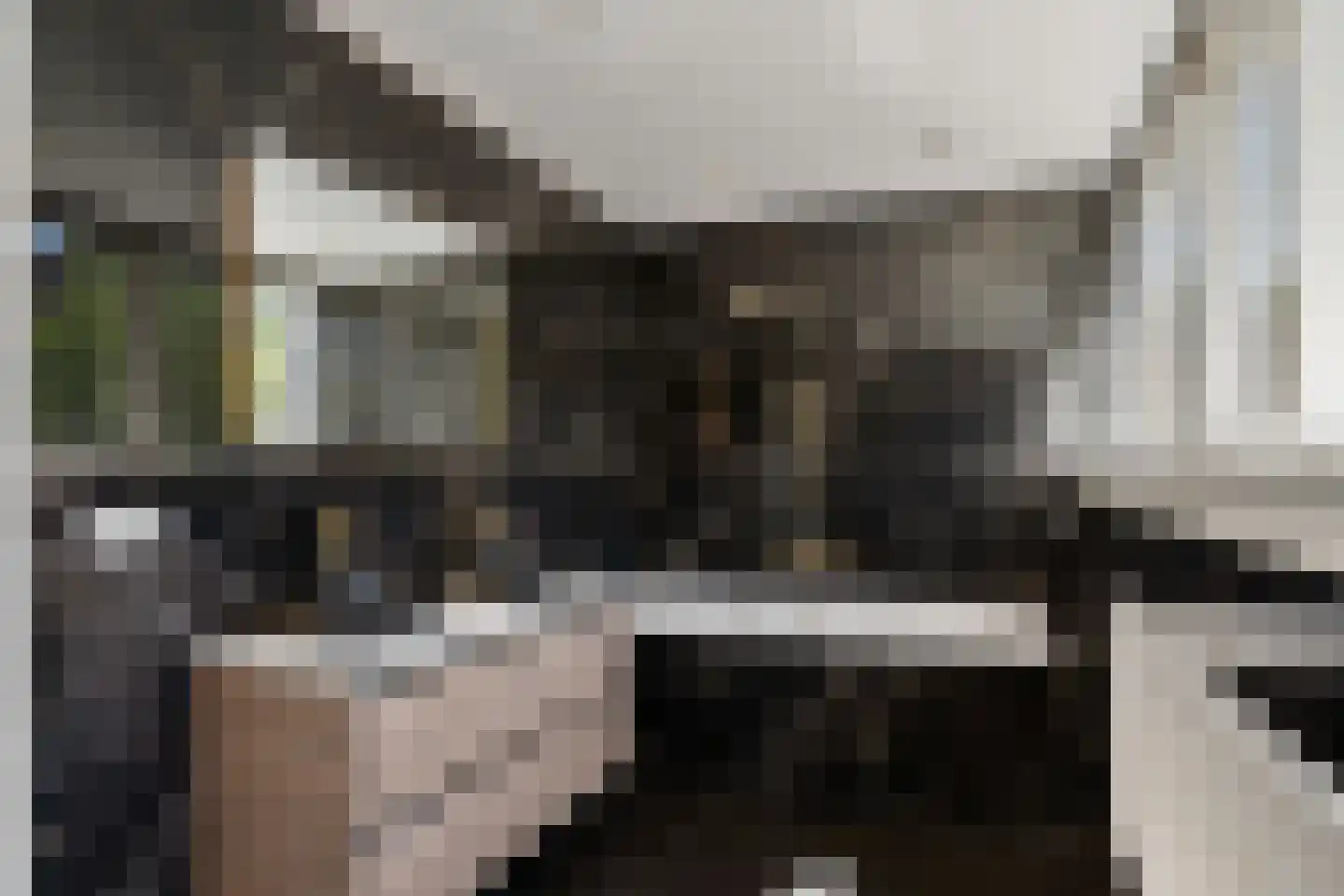 Marsmanhove 75 Zoetermeer thumbnail 4
