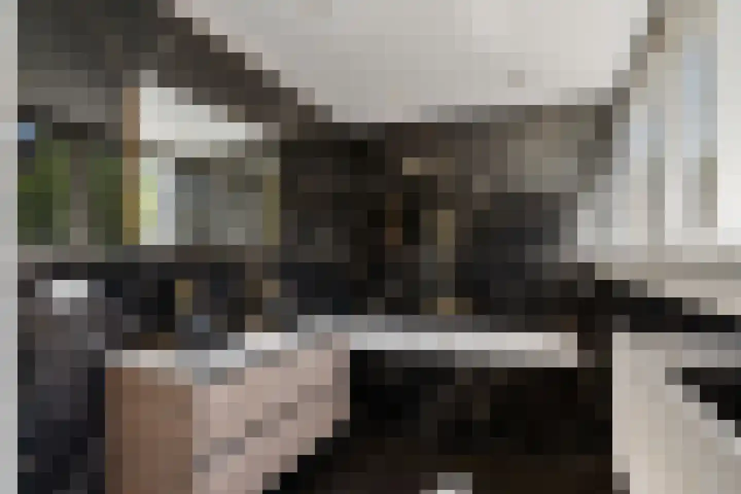 Marsmanhove 75 Zoetermeer thumbnail 48