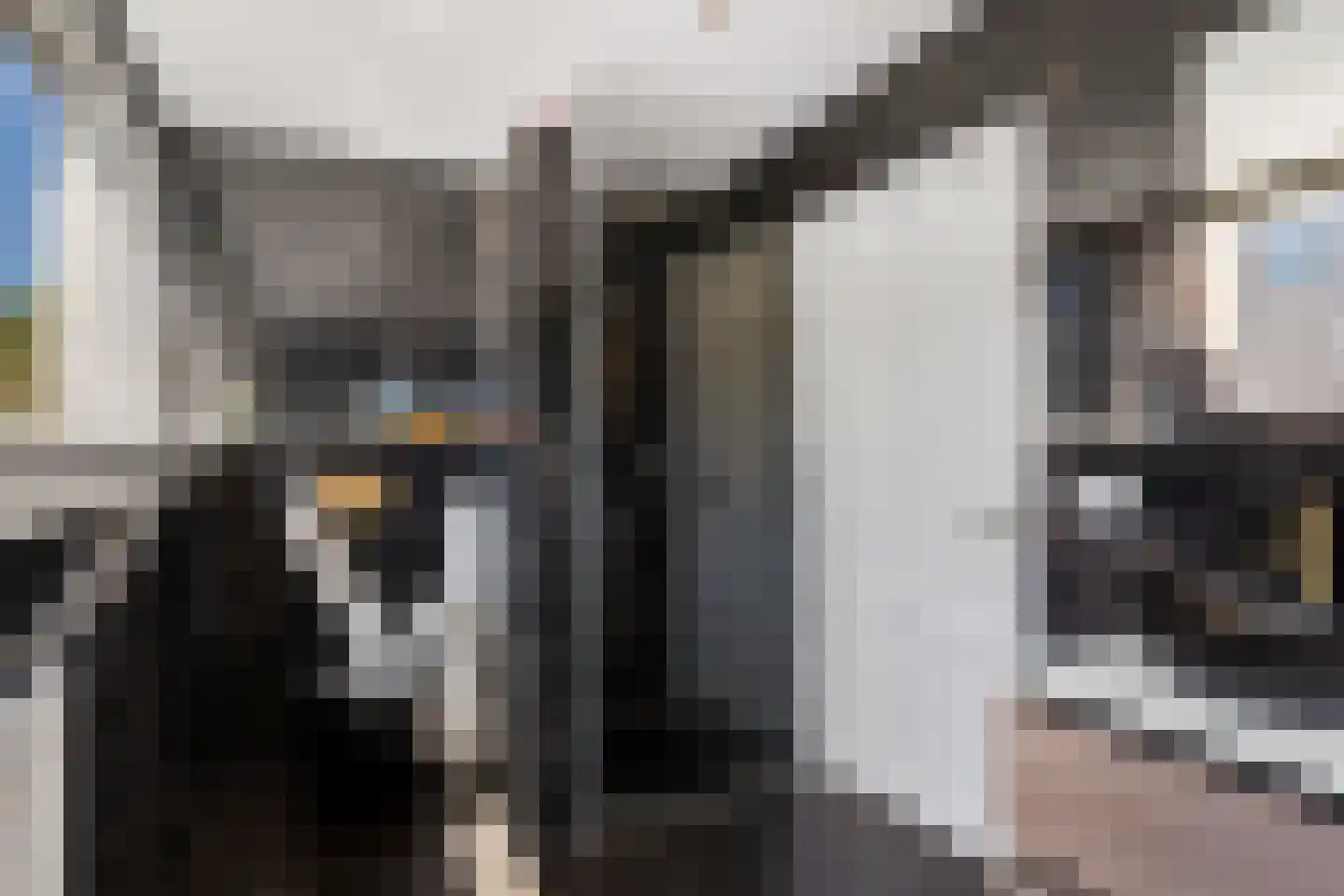 Marsmanhove 75 Zoetermeer thumbnail 51