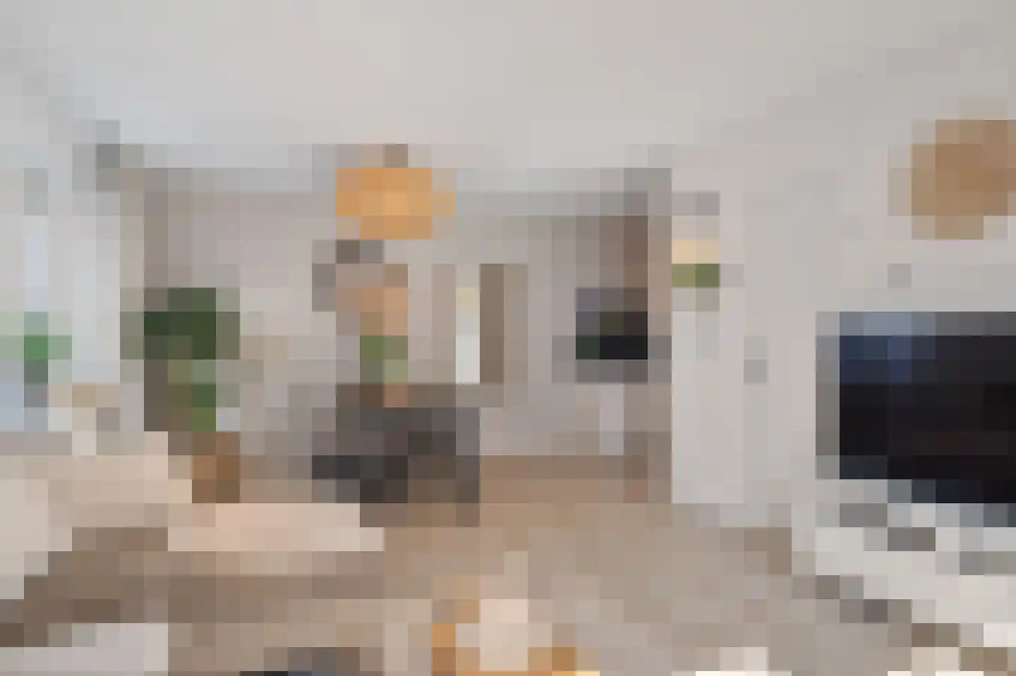 Marsmanhove 78 Zoetermeer thumbnail 13