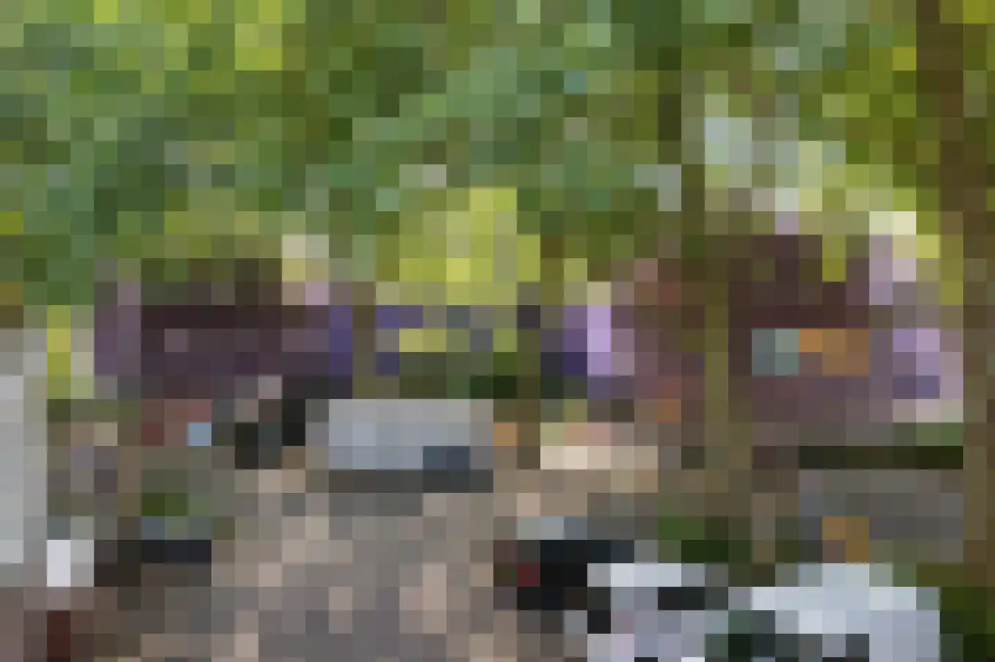 Marsmanhove 78 Zoetermeer thumbnail 32