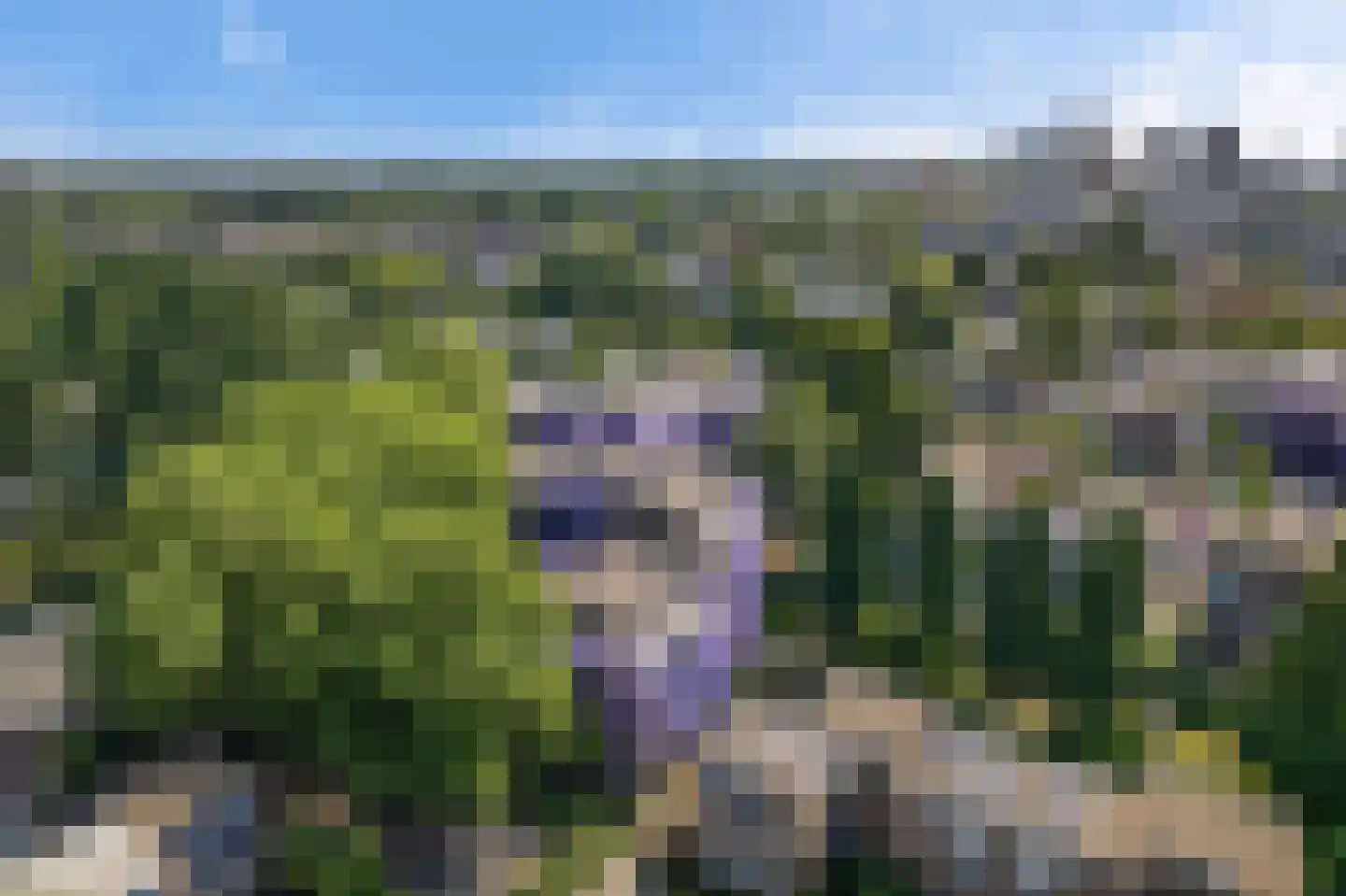 Marsmanhove 78 Zoetermeer thumbnail 33