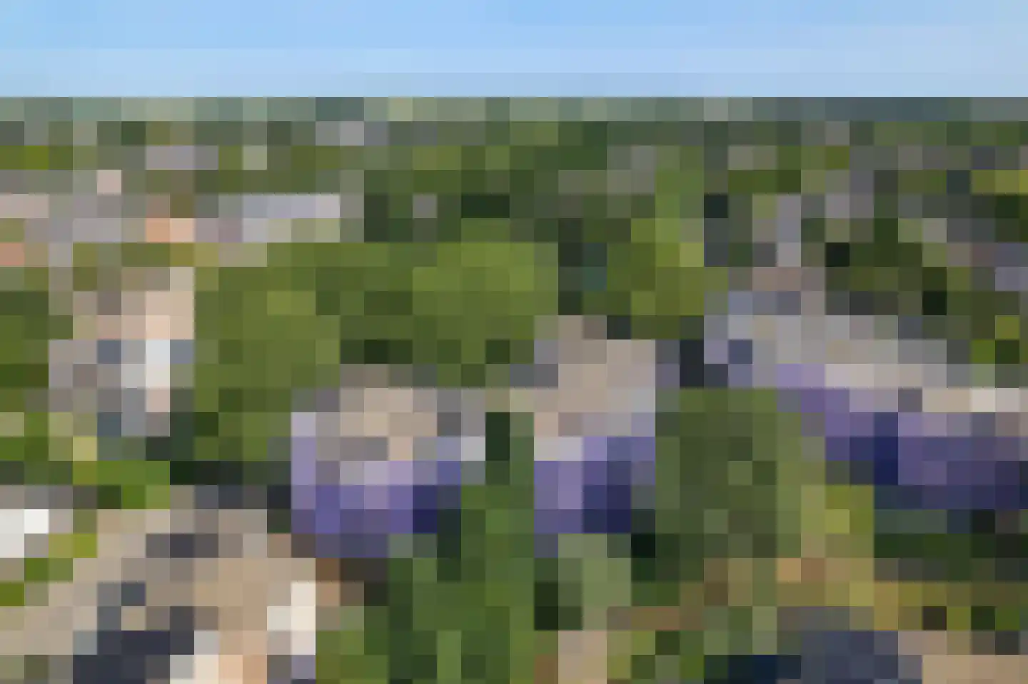 Marsmanhove 78 Zoetermeer thumbnail 34