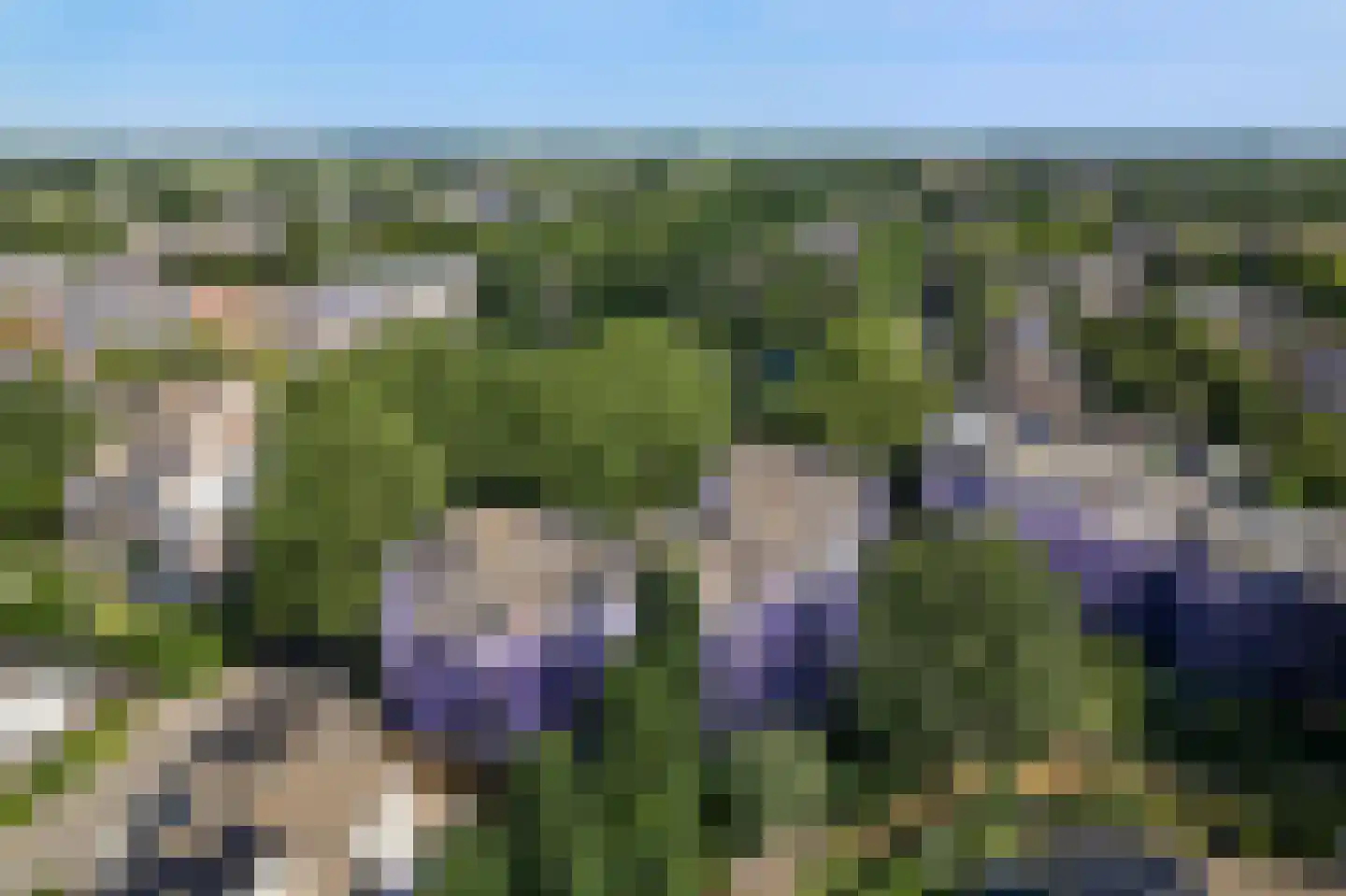 Marsmanhove 78 Zoetermeer thumbnail 35