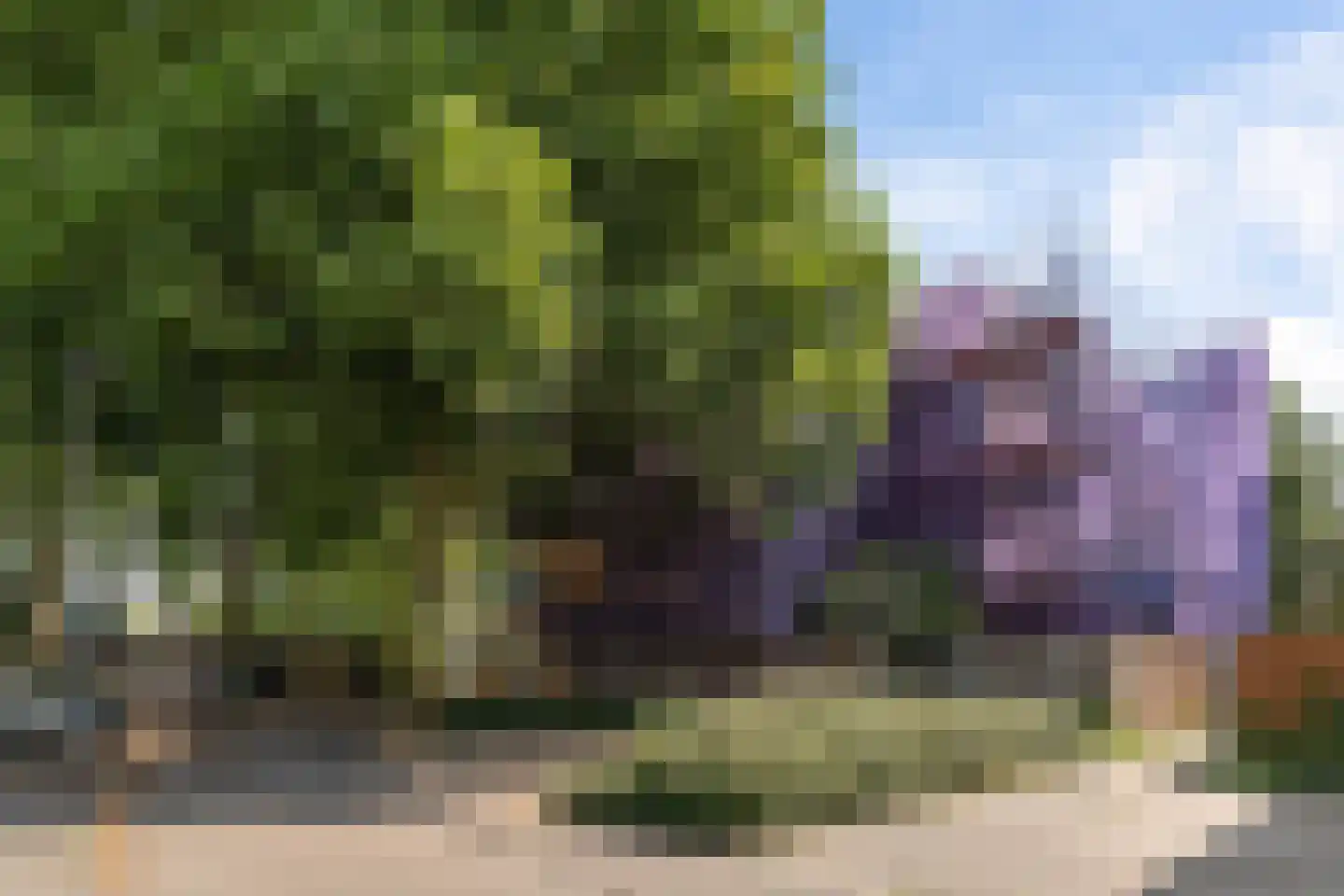 Marsmanhove 78 Zoetermeer thumbnail 37