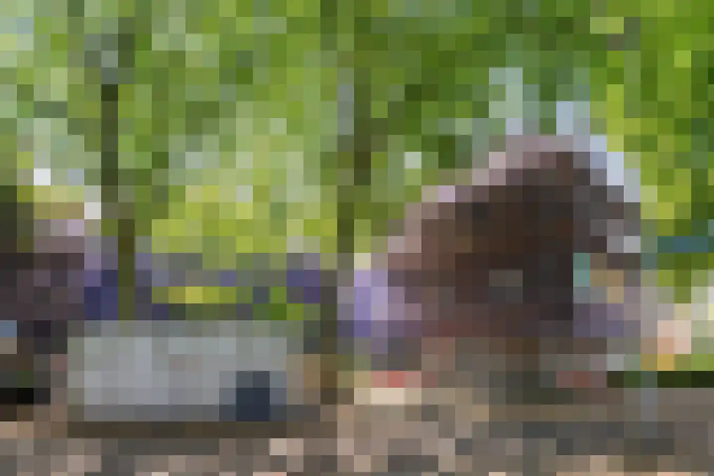 Marsmanhove 78 Zoetermeer thumbnail 5