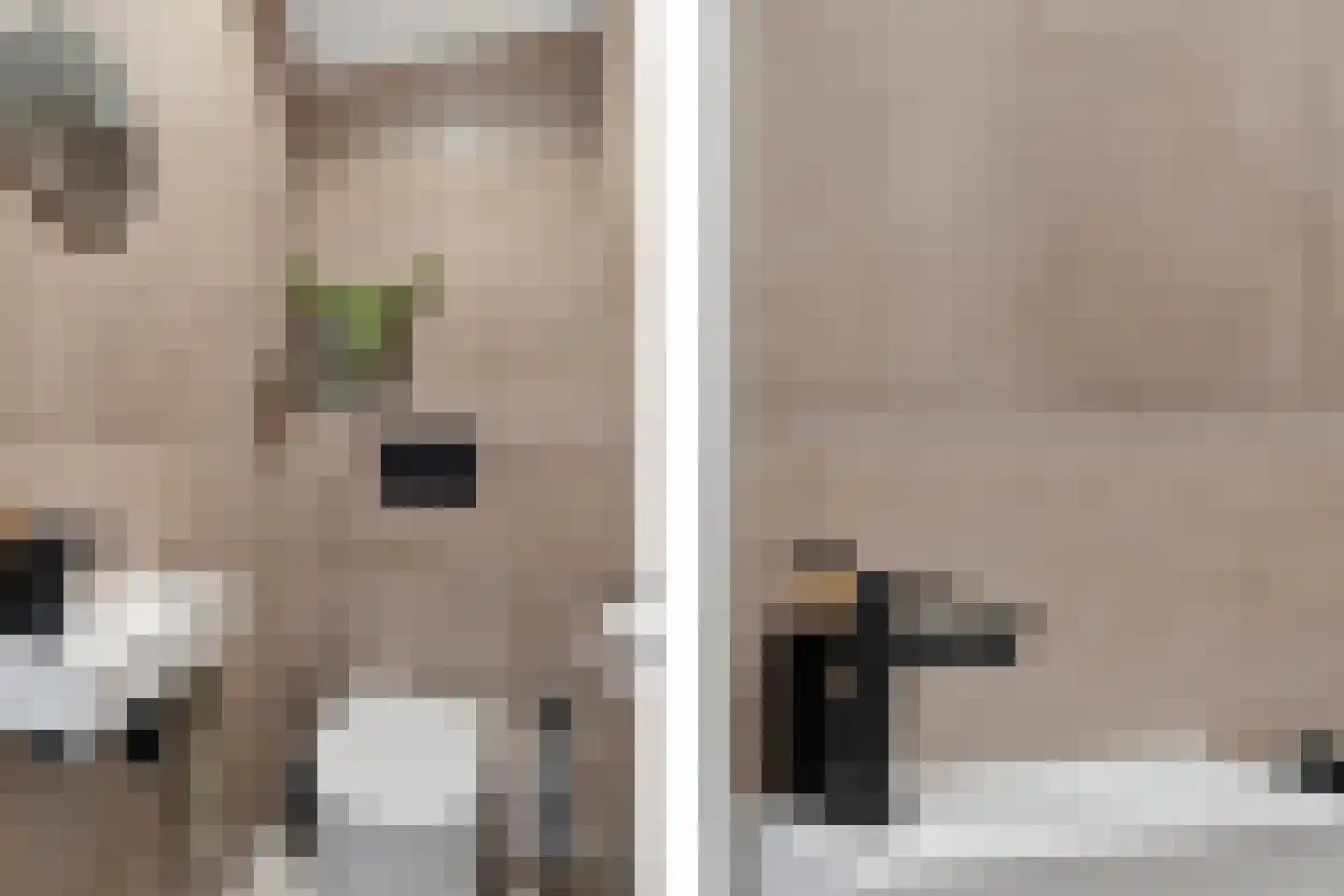 Marsmanhove 78 Zoetermeer thumbnail 8