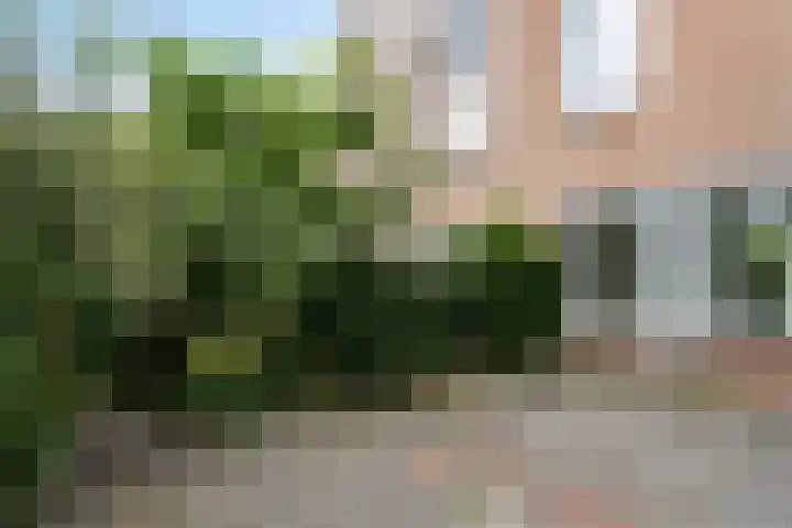 Marsmanhove 87 Zoetermeer thumbnail 10