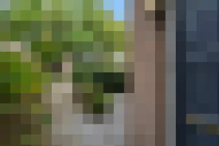Marsmanhove 87 Zoetermeer thumbnail 12
