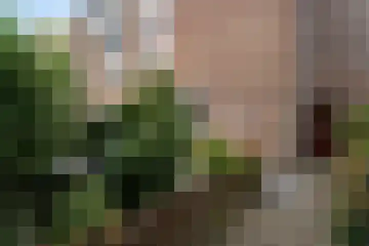 Marsmanhove 87 Zoetermeer thumbnail 9