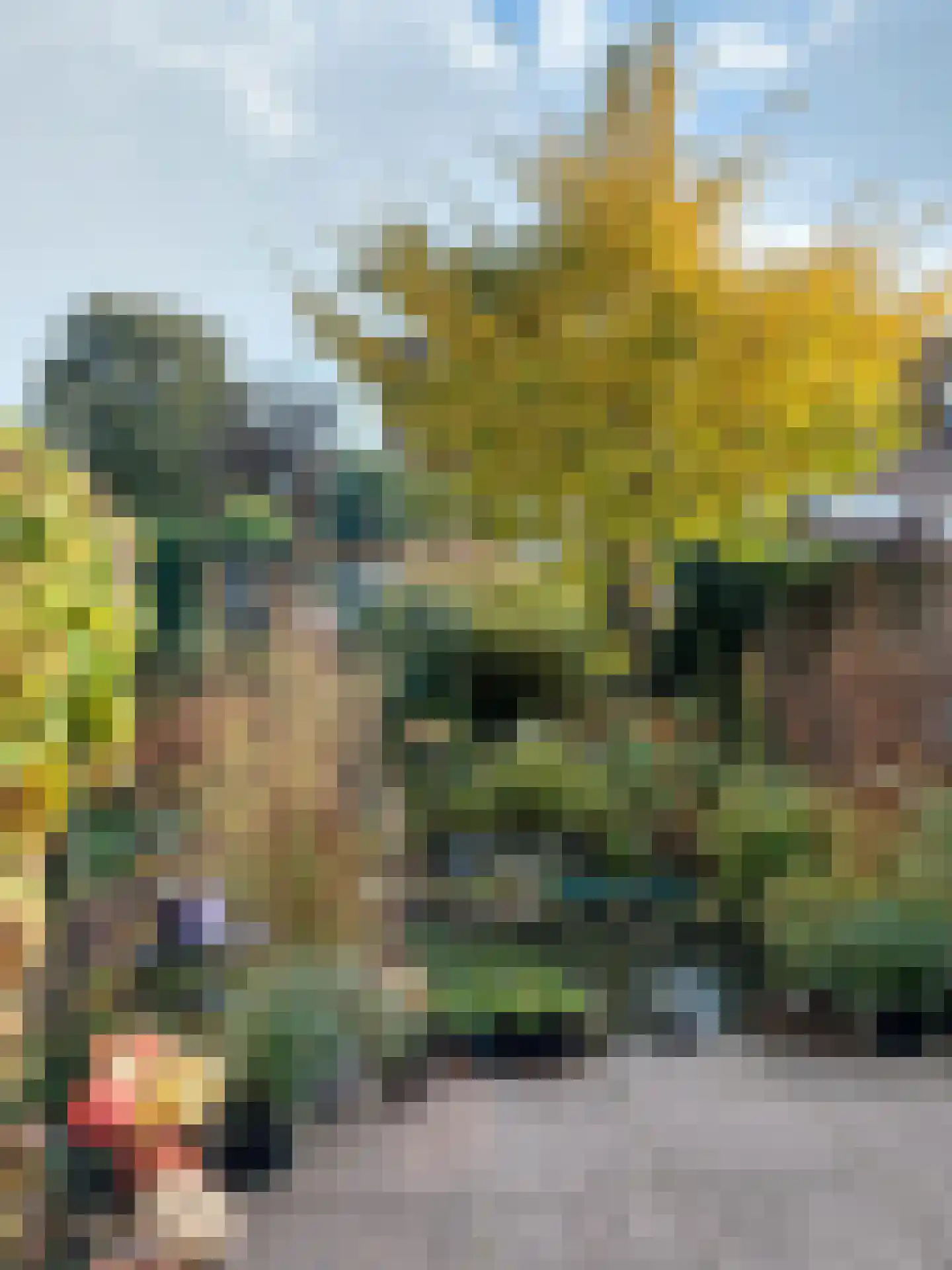 Marsmanlaan 14 Uithoorn thumbnail 32