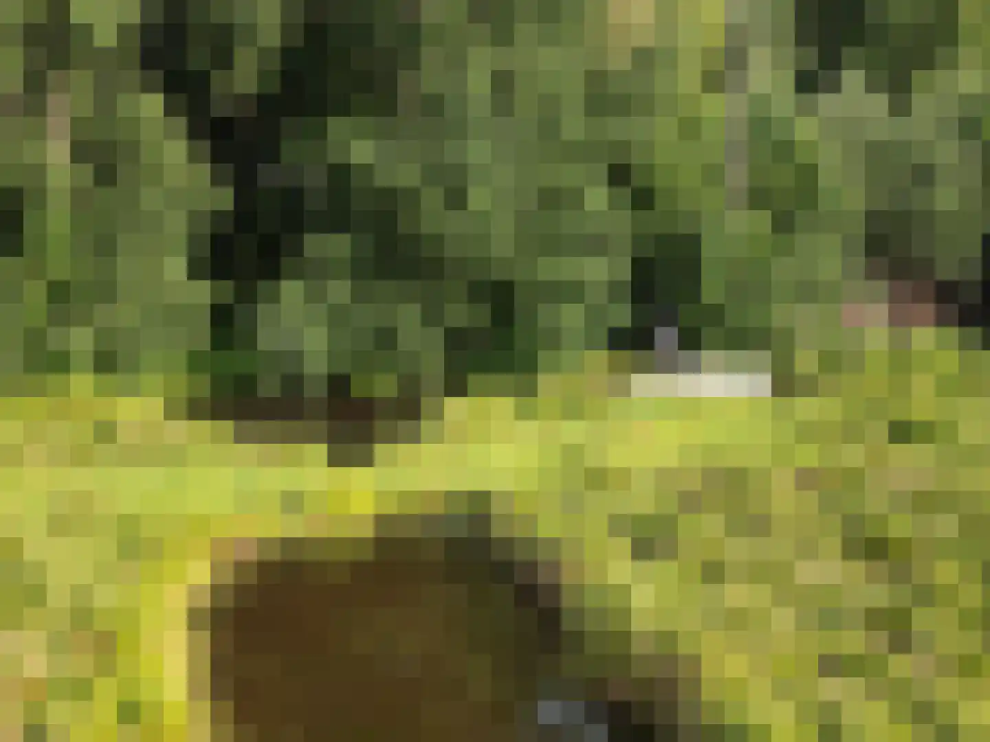 Marsmanlaan 17 Uithoorn thumbnail 29