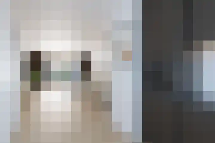Marsmanlaan 2 Veenendaal thumbnail 11