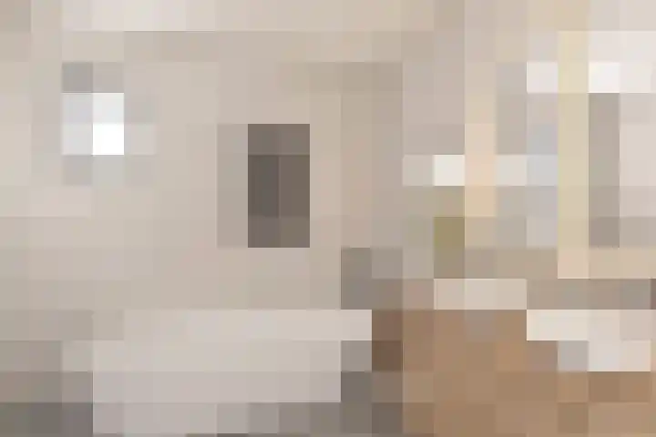 Marsmanlaan 2 Veenendaal thumbnail 17