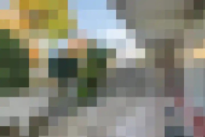 Marsmanlaan 2 Veenendaal thumbnail 20