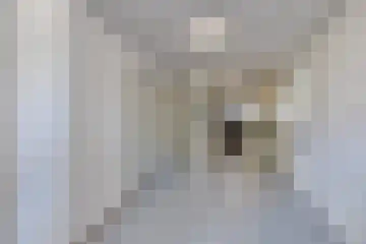 Marsmanlaan 2 Veenendaal thumbnail 26