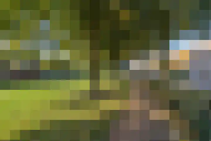 Marsmanlaan 2 Veenendaal thumbnail 27