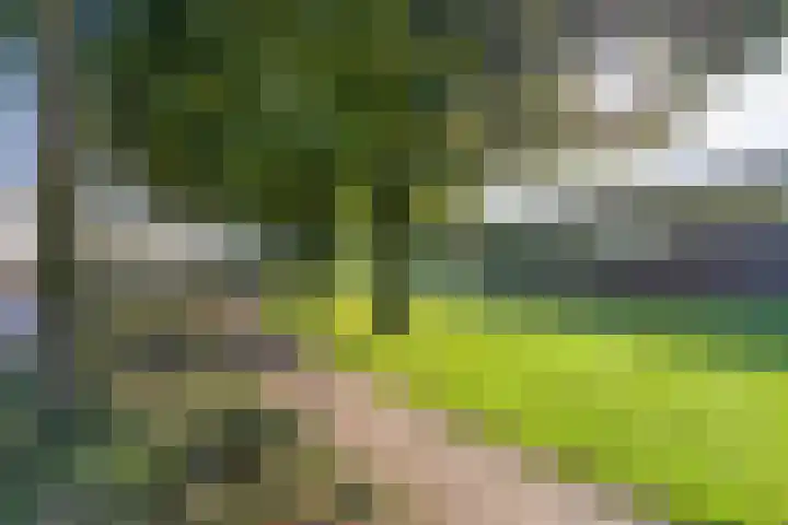 Marsmanlaan 2 Veenendaal thumbnail 28