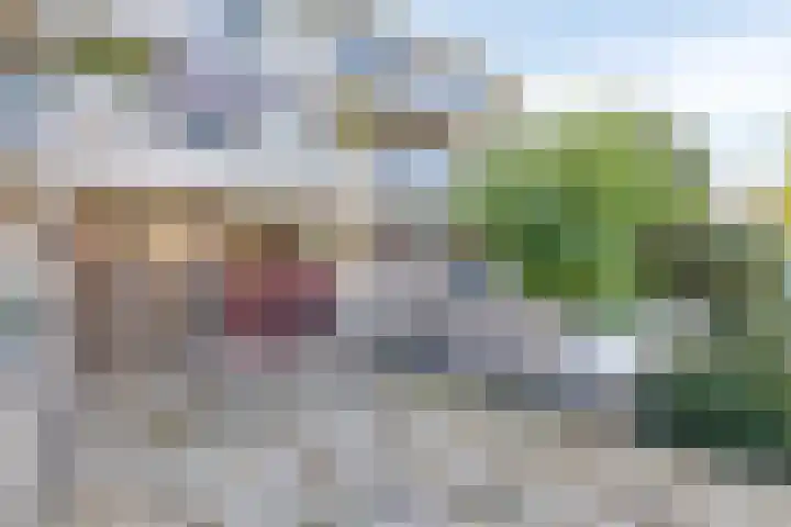 Marsmanlaan 2 Veenendaal thumbnail 5