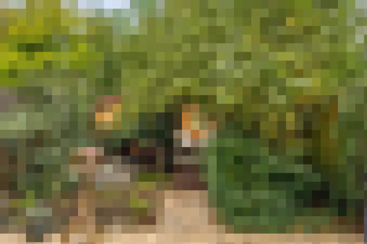 Marsmanlaan 41 Uithoorn thumbnail 25