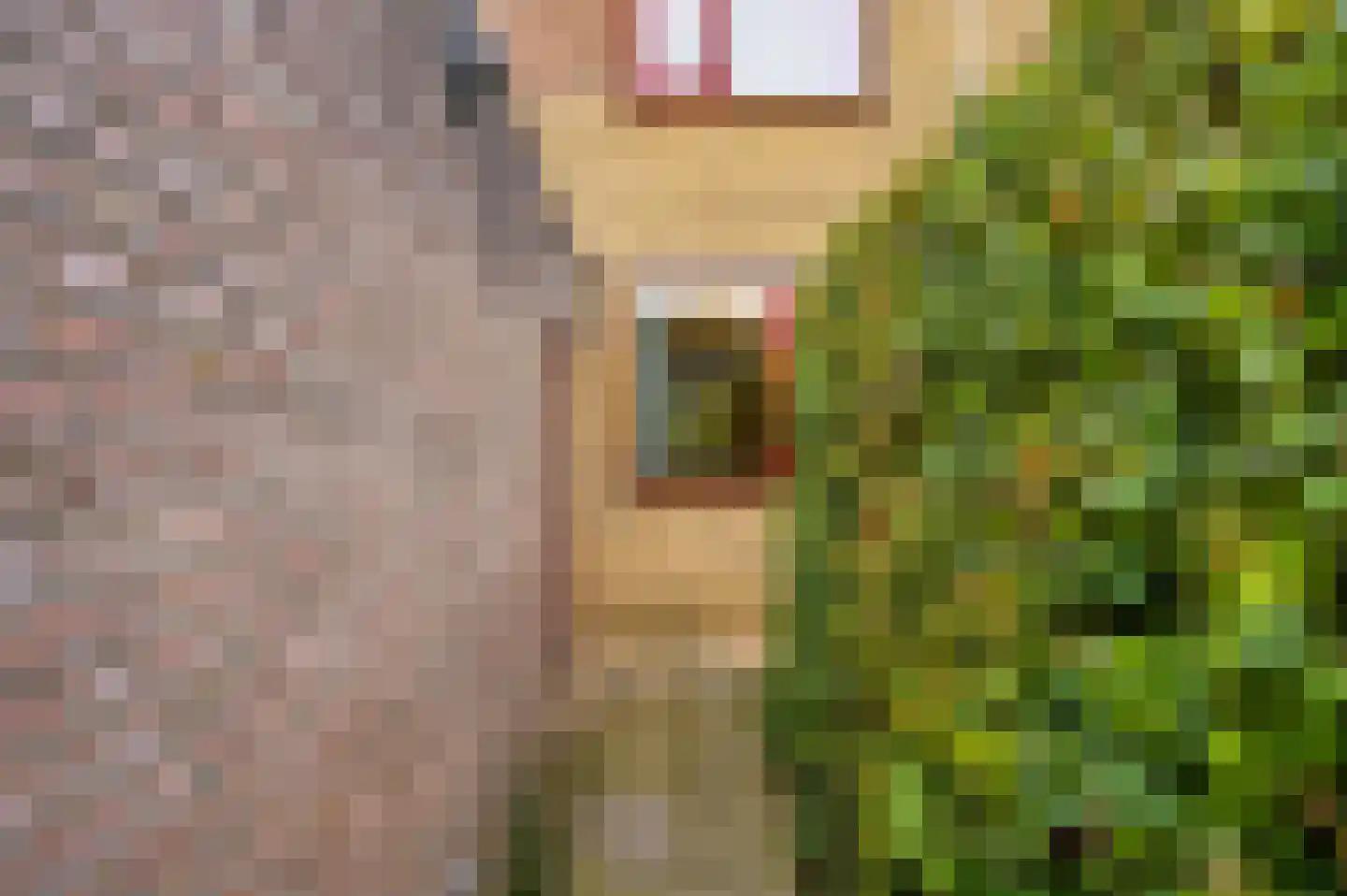 Marsmanlaan 41 Uithoorn thumbnail 29