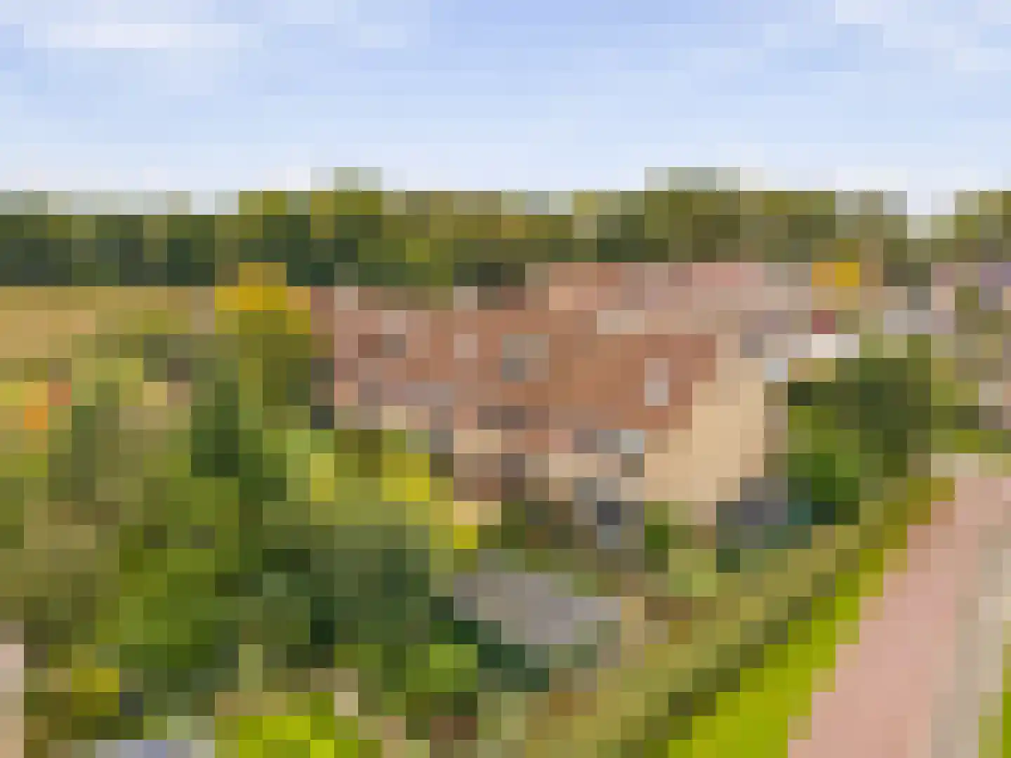 Marsmanlaan 41 Uithoorn thumbnail 34