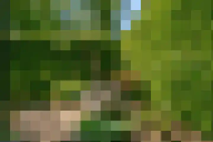 Marsmanlaan 75 Uithoorn thumbnail 32