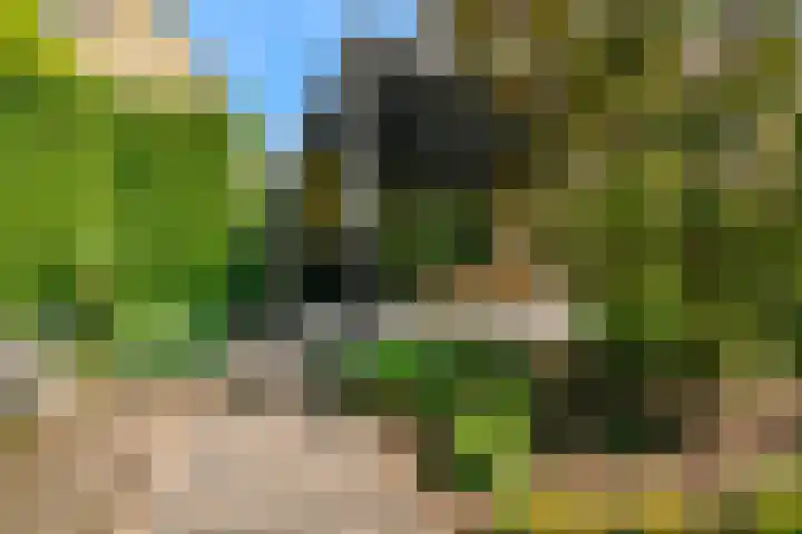 Marsmanlaan 75 Uithoorn thumbnail 33
